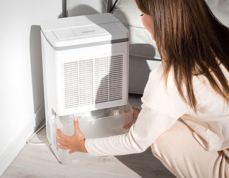 Air Purification and Dehumidifiers